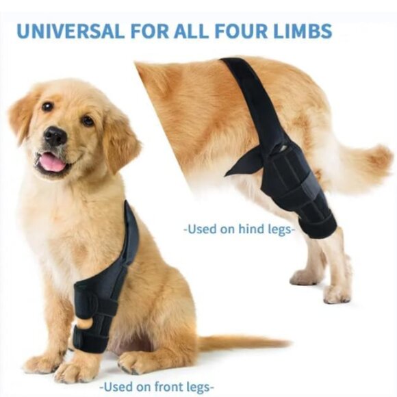 PAWFUN Dog Knee Brace for Torn ACL Adjustable Leg Support for Hip Dysplasia - Picture 1 of 12